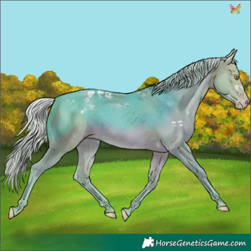 Horse Color:Watercolor Silver Sable Champagne 
