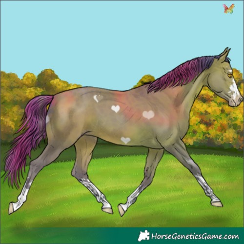 Horse Color:Watercolor Sable Champagne 