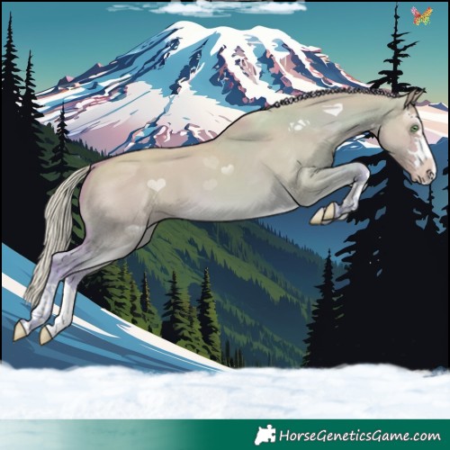 Horse Color:Watercolor Gold Cream Champagne Dun 