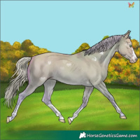 Horse Color:Watercolor Gold Cream Champagne Dun 
