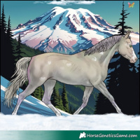 Horse Color:Watercolor Gold Cream Champagne Dun 