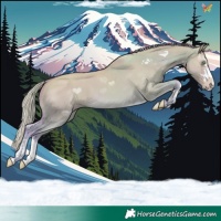Horse Color:Watercolor Gold Cream Champagne Dun