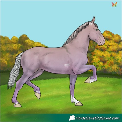 Horse Color:Silver Classic Cream Champagne Dun 