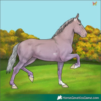 Horse Color:Silver Classic Cream Champagne Dun 
