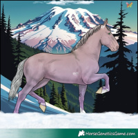 Horse Color:Silver Classic Cream Champagne Dun