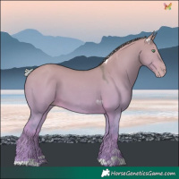 Horse Color:Silver Classic Cream Champagne Dun 
