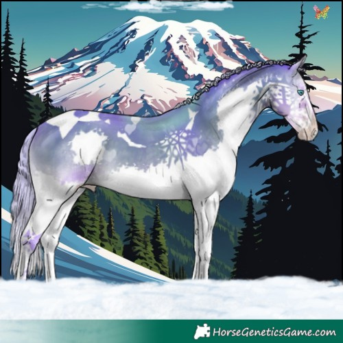 Horse Color:Watercolor Silver Sable Cream Champagne Onyx Splash Tobiano 