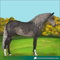 Horse Color:Silver Smoky Black 