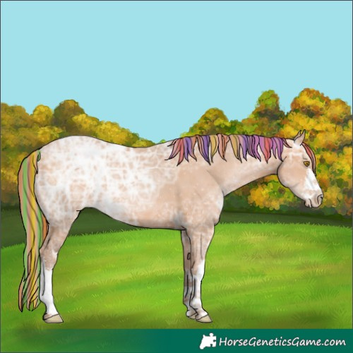 Horse Color:Painted White Spotted Bay Ice Pearl 