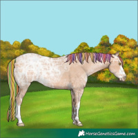 Horse Color:Painted White Spotted Bay Ice Pearl