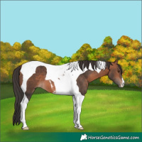 Horse Color:Bay Mushroom Tobiano 