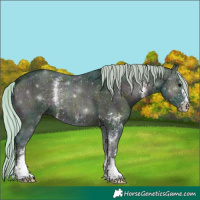 Horse Color:Watercolor Midnight Silver Brown Onyx Sabino 
