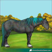 Horse Color:Plaid  Midnight Brown Ice Onyx 