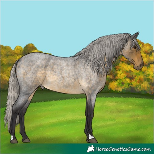 Horse Color:Silver Buckskin Roan 