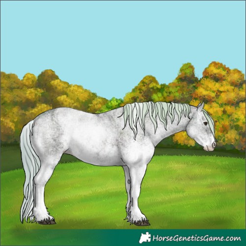 Horse Color:Watercolor White Spotted Midnight Red Onyx Ice