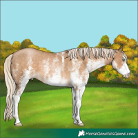 Horse Color:White Spotted Chocolate Palomino Pearl 