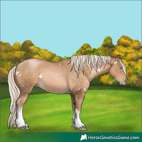 Horse Color:White Spotted Chocolate Palomino Pearl Tobiano
