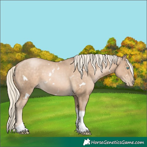 Horse Color:White Spotted Chocolate Palomino Pearl Tobiano