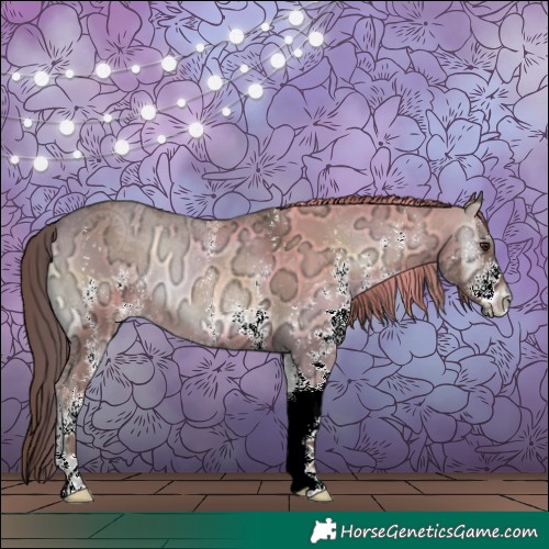 Horse Color:White Spotted Red Onyx Ice 