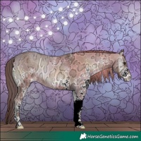 Horse Color:White Spotted Red Onyx Ice 