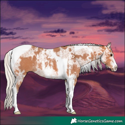 Horse Color:Silver Bay Ice Sabino Tobiano Rabicano 