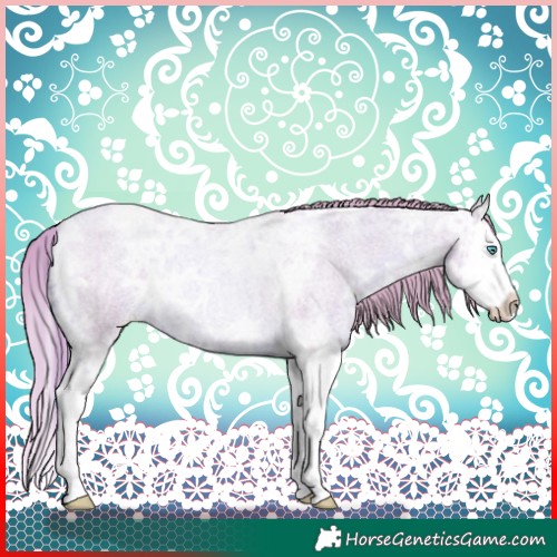 Horse Color:Watercolor Gold Champagne Ice Roan Splash Rabicano 