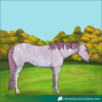 Horse Color:Watercolor Red Dun Ice