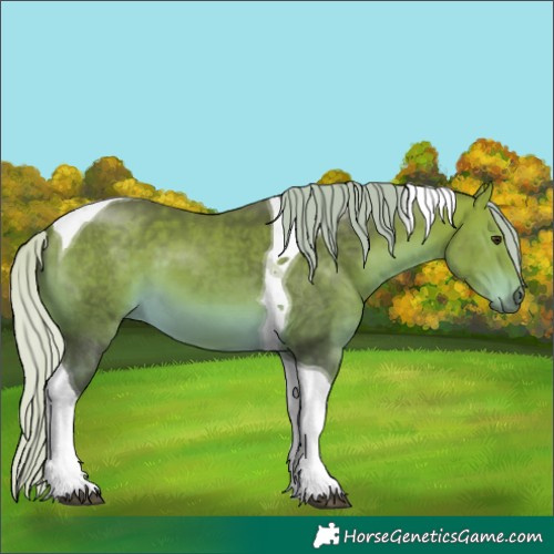Horse Color:Silver Buckskin Tobiano