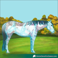 Horse Color:Thunderstruck Bay Ice Dun Frame 