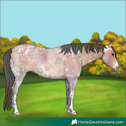Horse Color:Nacre White Spotted Bay Ice 