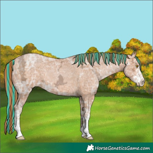 Horse Color:Painted White Spotted Bay Ice Pearl 