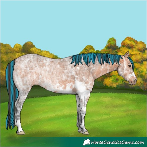 Horse Color:Painted White Spotted Bay Ice 
