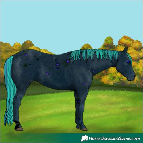 Horse Color:ERROR: UNKNOWN ANOMALY