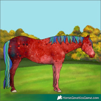 Horse Color:ERROR: UNKNOWN ANOMALY