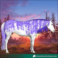 Horse Color:Watercolor Brown Sabino Splash