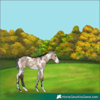 Horse Color:White Spotted Liver Red Dun Frame