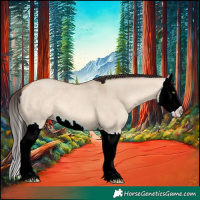 Horse Color:Amber Champagne Dun Splash 