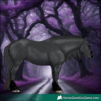 Horse Color:Void Black 
