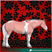 Horse Color:Watercolor Silver Buckskin Tobiano 