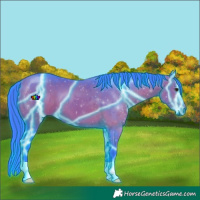 Horse Color:Thunderstruck Watercolor Bay 