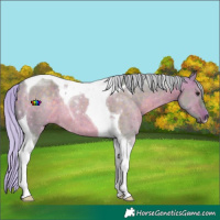 Horse Color:Watercolor Silver Brown Dun Tobiano
