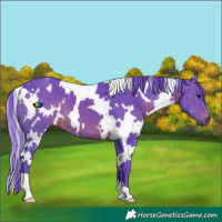 Horse Color:Watercolor White Spotted Brown 