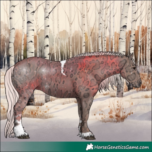 Horse Color:Silver Black Ice Tobiano Rabicano 