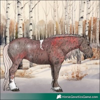 Horse Color:Silver Black Ice Tobiano Rabicano