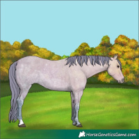 Horse Color:Watercolor Bay Ice Roan Rabicano 