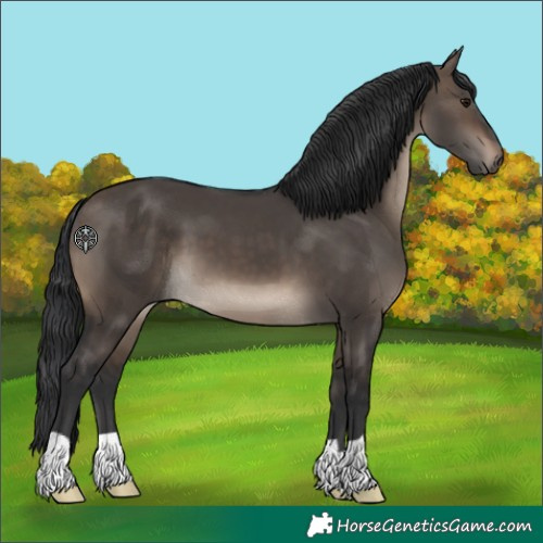 Horse Color:Brown Dun 