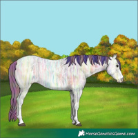 Horse Color:Watercolor Plaid Blue Onyx Ice Rabicano