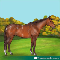 Horse Color:Powder White Chocolate Brown 