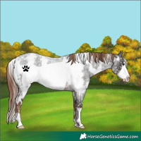 Horse Color:White Spotted Liver Red Roan Frame Blanket
