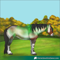Horse Color:Brown Onyx